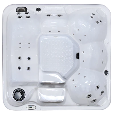 Hawaiian PZ-636L hot tubs for sale in Coral Gables
